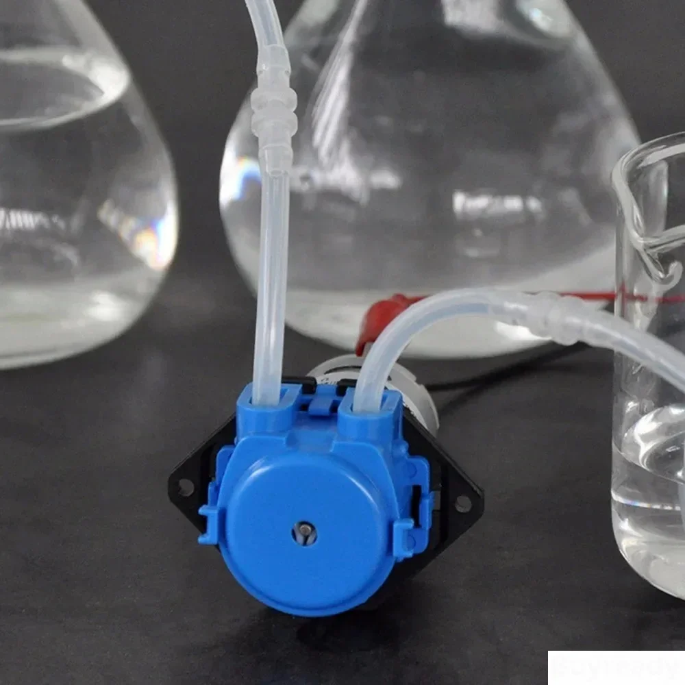 DC 12V 24V Doseerpomp Peristal - Mini Peristaltic Pump 12V recensie en prijs
