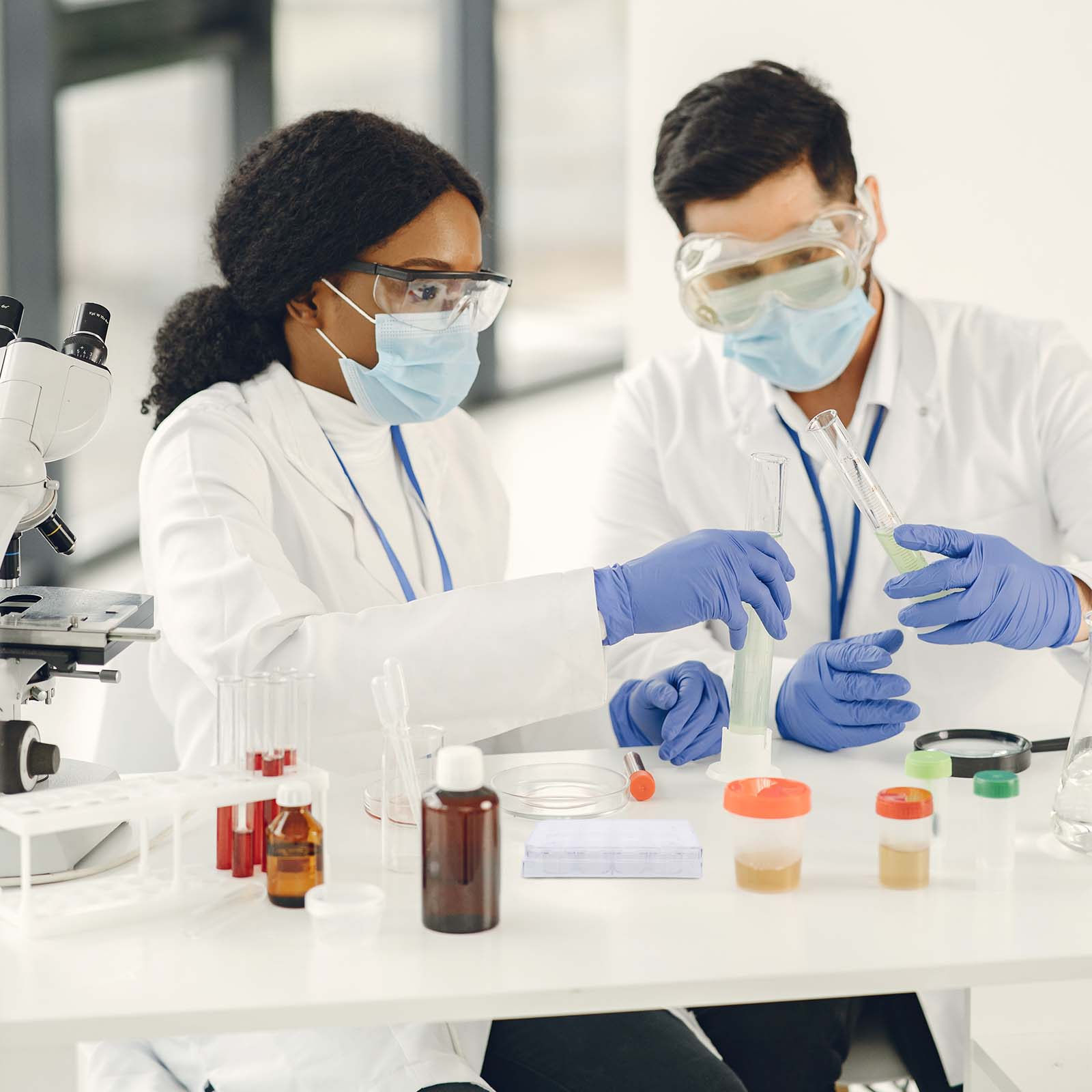 12-gaats celkweekplaat, weefse - Lab Equipment recensie en prijs